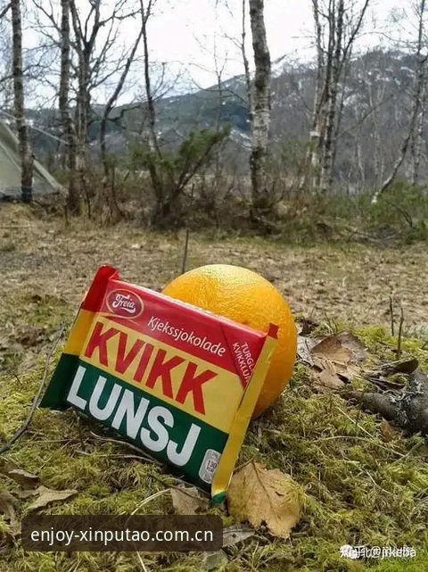 看挪威主帅如何回怼出线概率，几个细节值得玩味——新葡萄棋牌观赛手记
